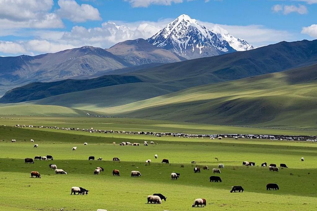 西藏自驾超全攻略，少走弯路看绝美风景，纯干货分享，看完就出发(图9)