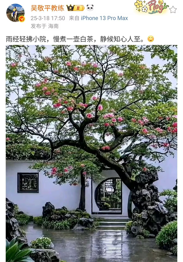 再见樊振东！拒绝世界杯，与李现亮相日本，头戴鸭舌帽瘦到不敢认(图6)