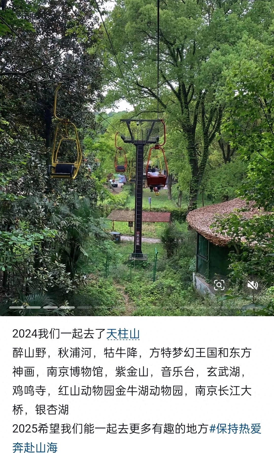 终于知道34岁女子为什么拔个牙会跳楼了，找到原因后瞬间理解了(图1)