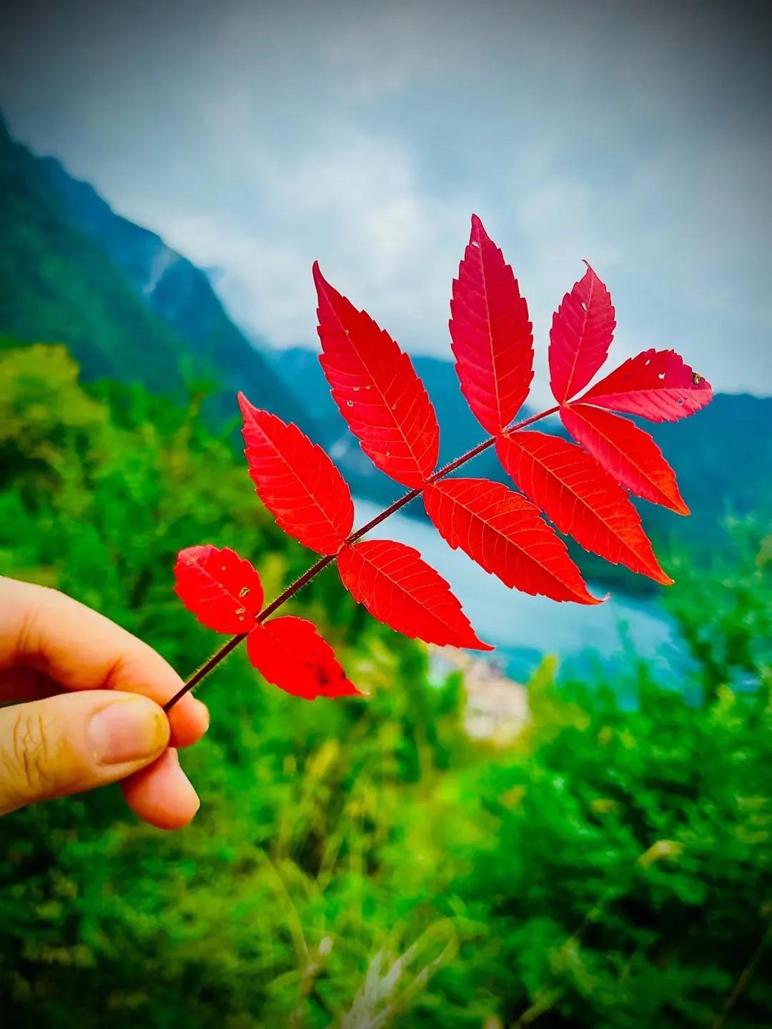 五一亲子自驾游路线推荐，自己走过不堵车风景好，体验感强的路线(图4)