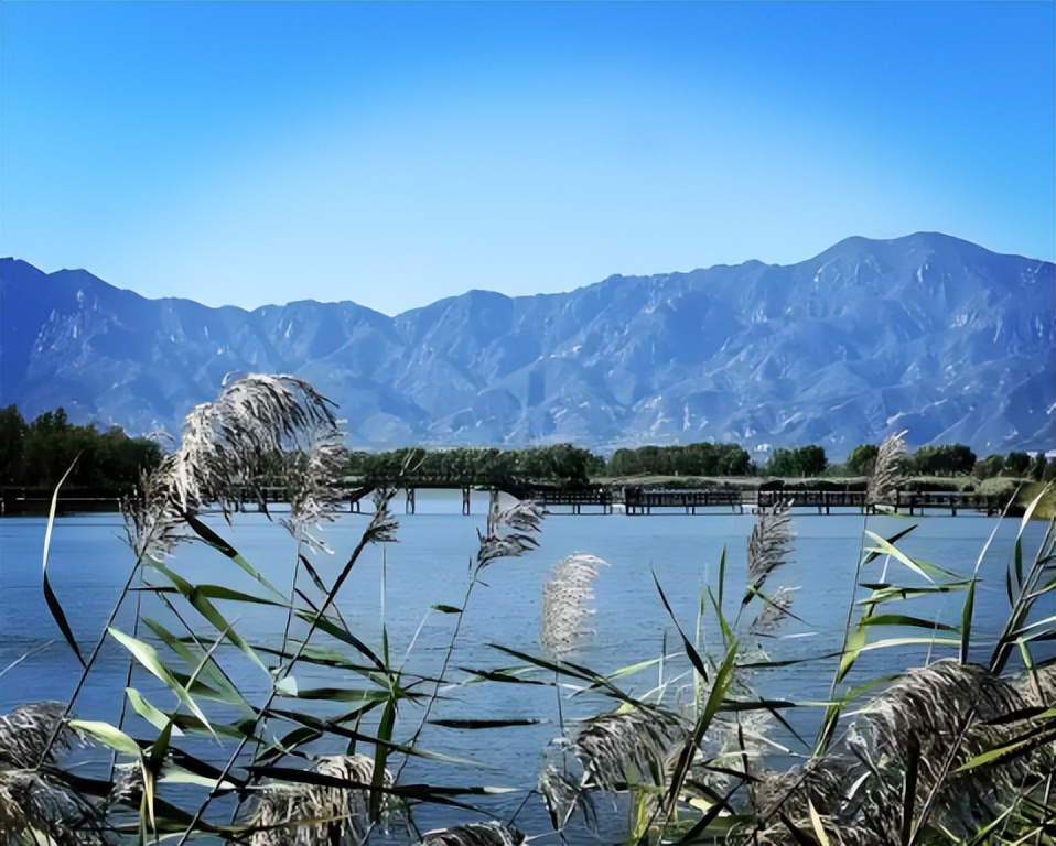 适合家庭出游的旅游攻略(图5)