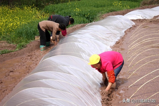清明小长假带妻儿回村陪父母，收获到比旅游更有意义的三代人快乐(图5)