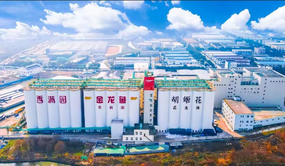 6000亿灰飞烟灭！伪装成国货的金龙鱼，背后的“资本局”昔日“油茅”，风光不再！    近日，金龙鱼公布2024年年度财报，公司营业收入2388.66亿元，同比下降5.03%，归母净利润仅为25.02亿，同比下降12.14%。    金龙鱼曾是与茅台比肩的粮油巨头，如今却交出一份不好看的成绩单，着实令人唏嘘。       但这已经不是金龙鱼首次出现业绩亏损。自2020年上市以来，金龙鱼就陷入长达三(图9)
